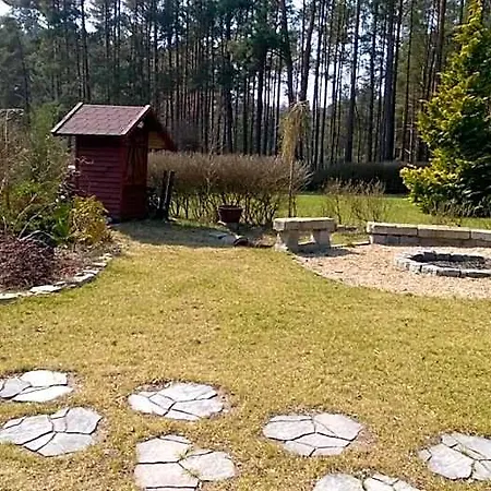 Bory Tucholskie