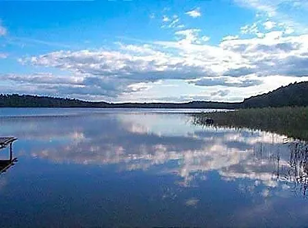 Bory Tucholskie
