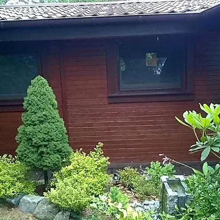 Bory Tucholskie * Skorzenno